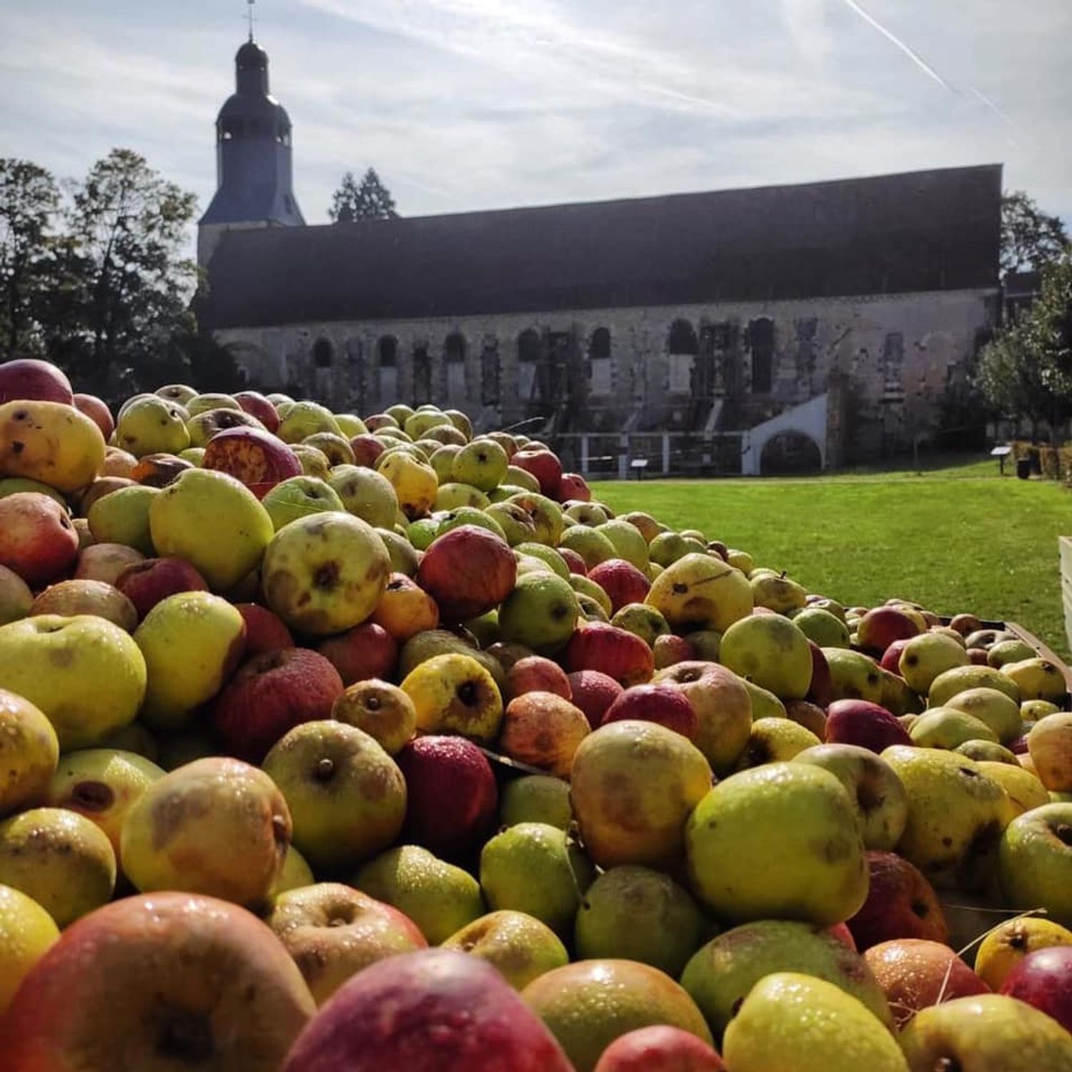 Le pressage des pommes à l'abbaye